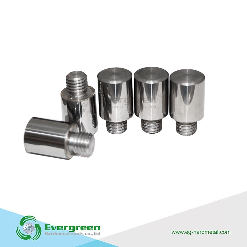 Tungsten Carbide Pins for Sand Mill Machines